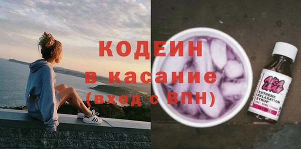 хмурый Осинники