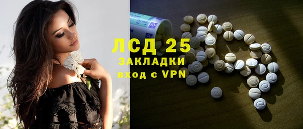 хмурый Осинники