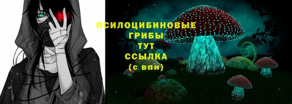 ГАЛЛЮЦИНОГЕННЫЕ ГРИБЫ Осташков