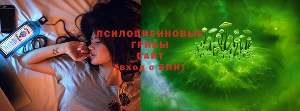 ГАЛЛЮЦИНОГЕННЫЕ ГРИБЫ Осташков