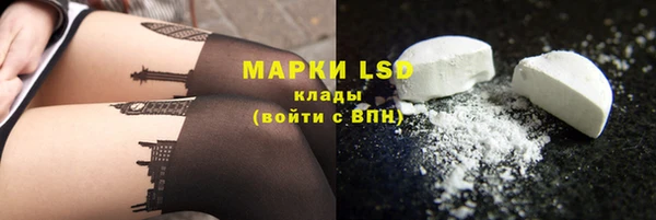 хмурый Осинники