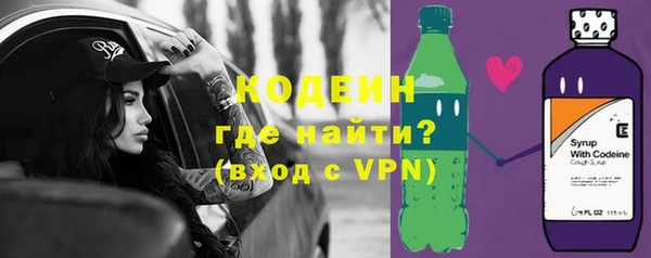 шишки Пересвет