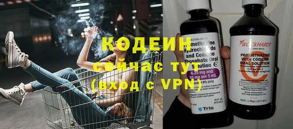молекула духа Пестово