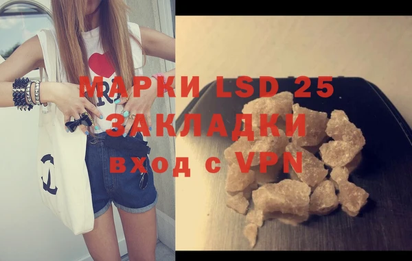 шишки Пересвет
