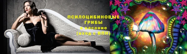 шишки Пересвет