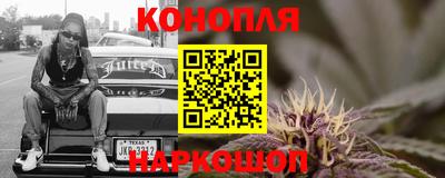не бодяженный Гай