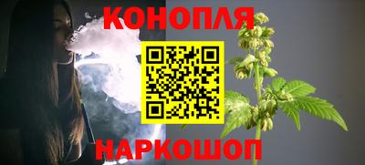не бодяженный Гай